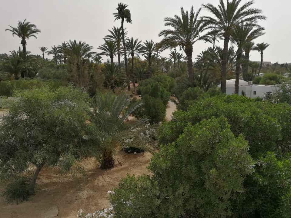 Gartenanlage Hotel Sangho Club Zarzis