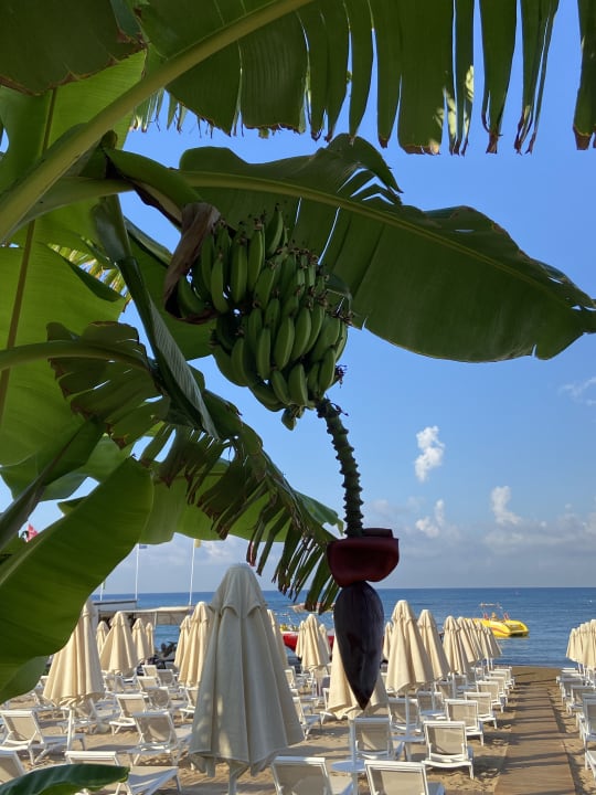 Strand Seaden Quality Resort & Spa