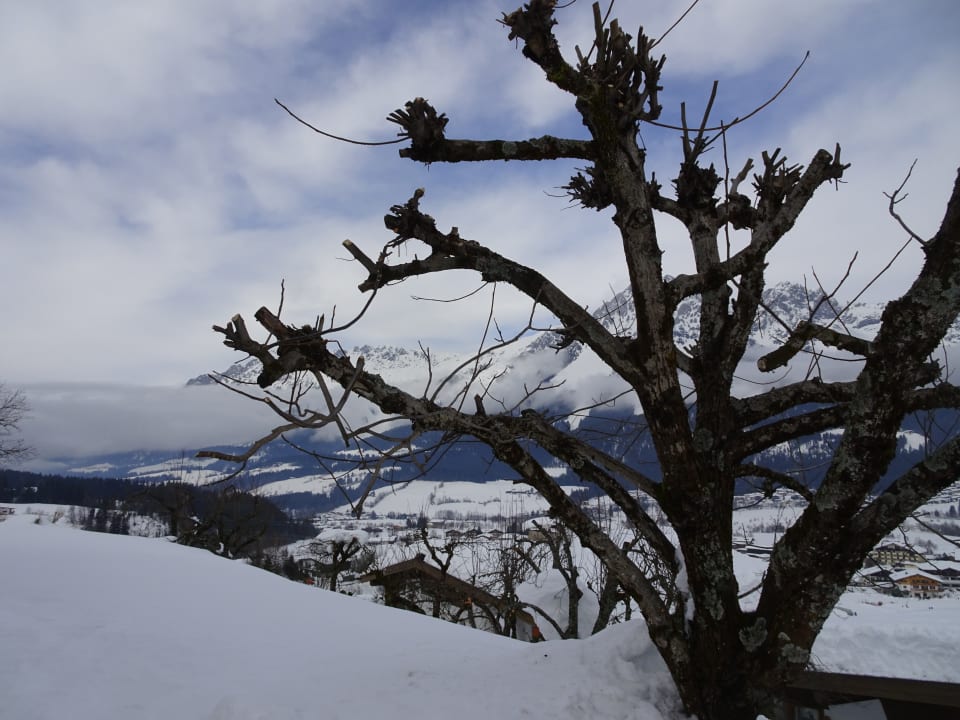 Gartenanlage Hotel Kirchbichlhof