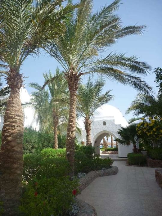 Außenanlage Arabella Azur Resort