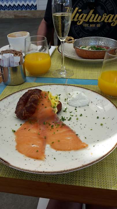 Gastro Acanthus Cennet Barut Collection