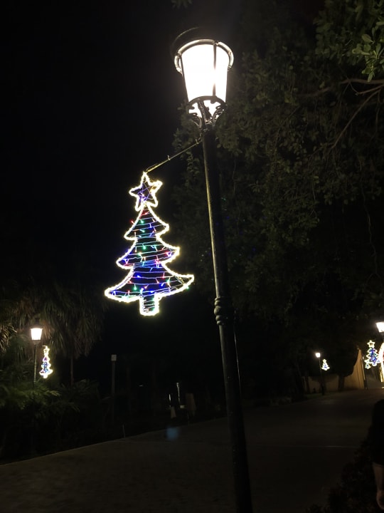 Garten Iberostar Selection Paraiso Maya Suites