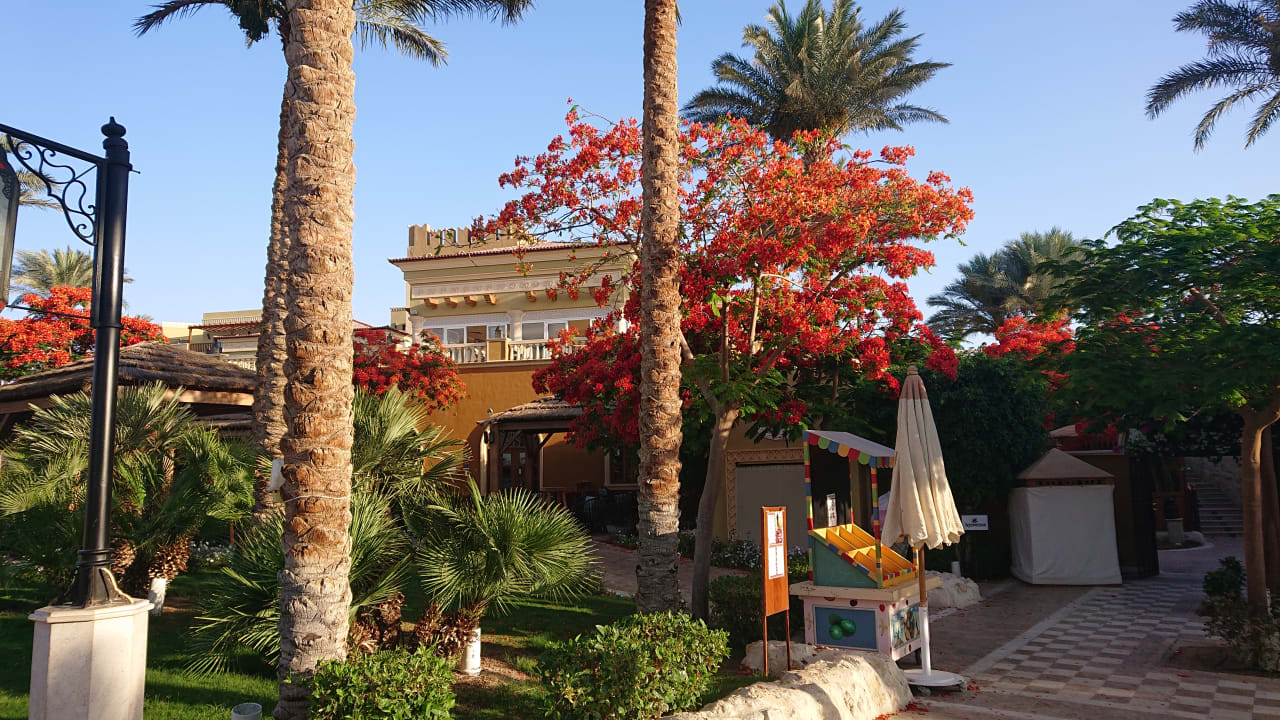 Gartenanlage Makadi Spa - Adults only