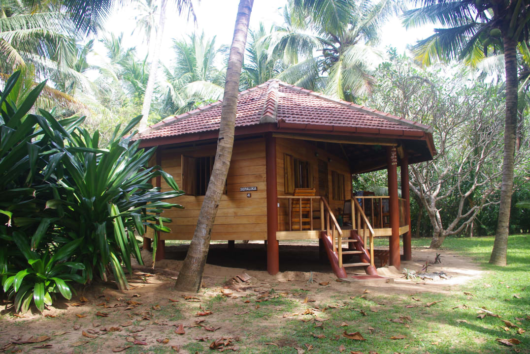 Palm Paradise Cabanas Palm Paradise Cabanas