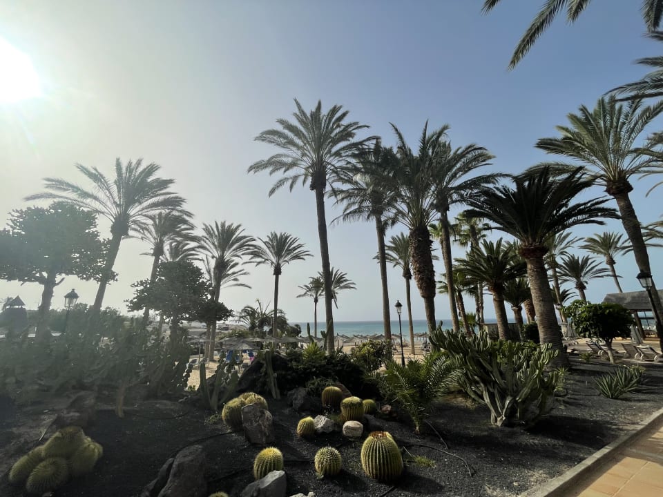 Gartenanlage SBH Costa Calma Beach Resort