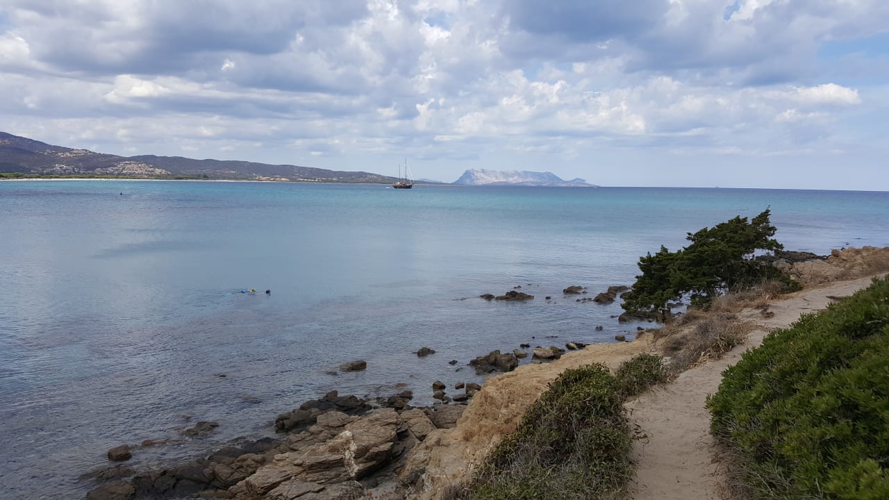 Strand Sardafit Nr. 177/12 - Pool-Bungalow im Gallo di Gallura