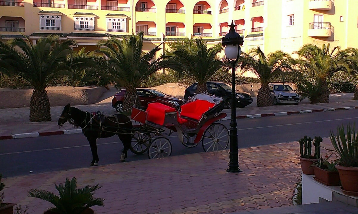 Mit der Pferdekutsche um die Häuser Hotel Neptunia Skanes