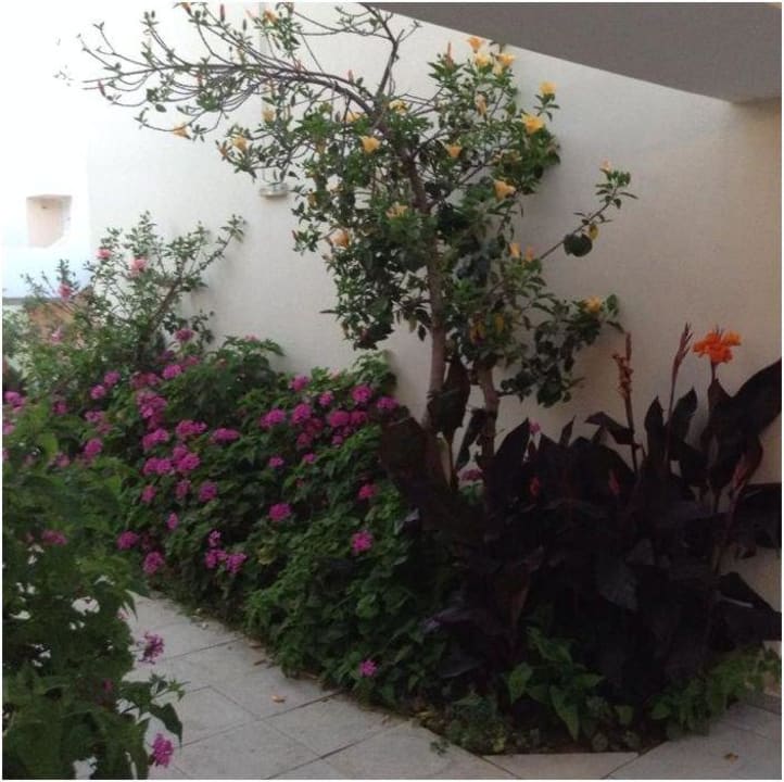 Überall schöne Blumen HARPIN Georgioupolis Resort Aquapark & SPA