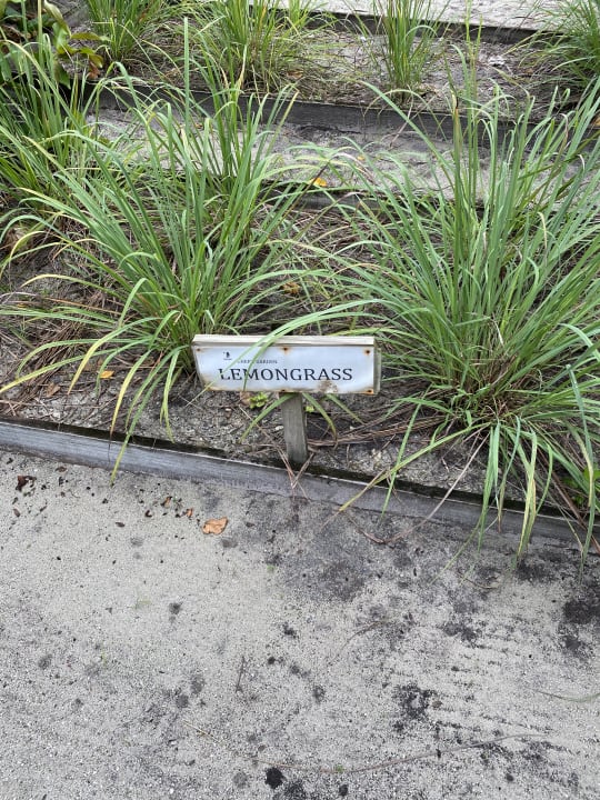 Gartenanlage ROBINSON MALDIVES