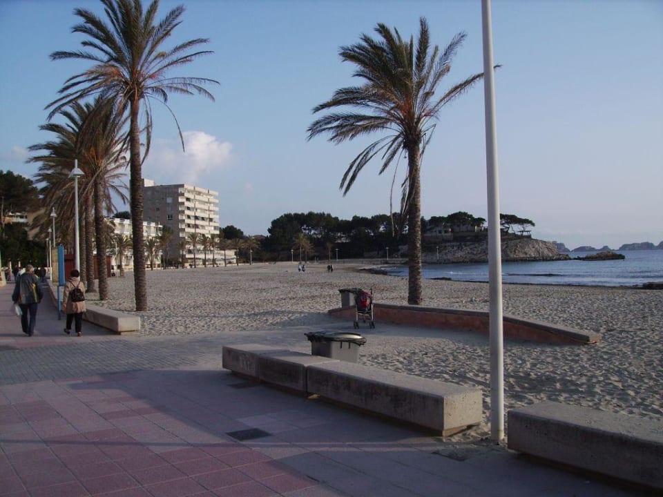 Strand im Februar Valentin Reina Paguera