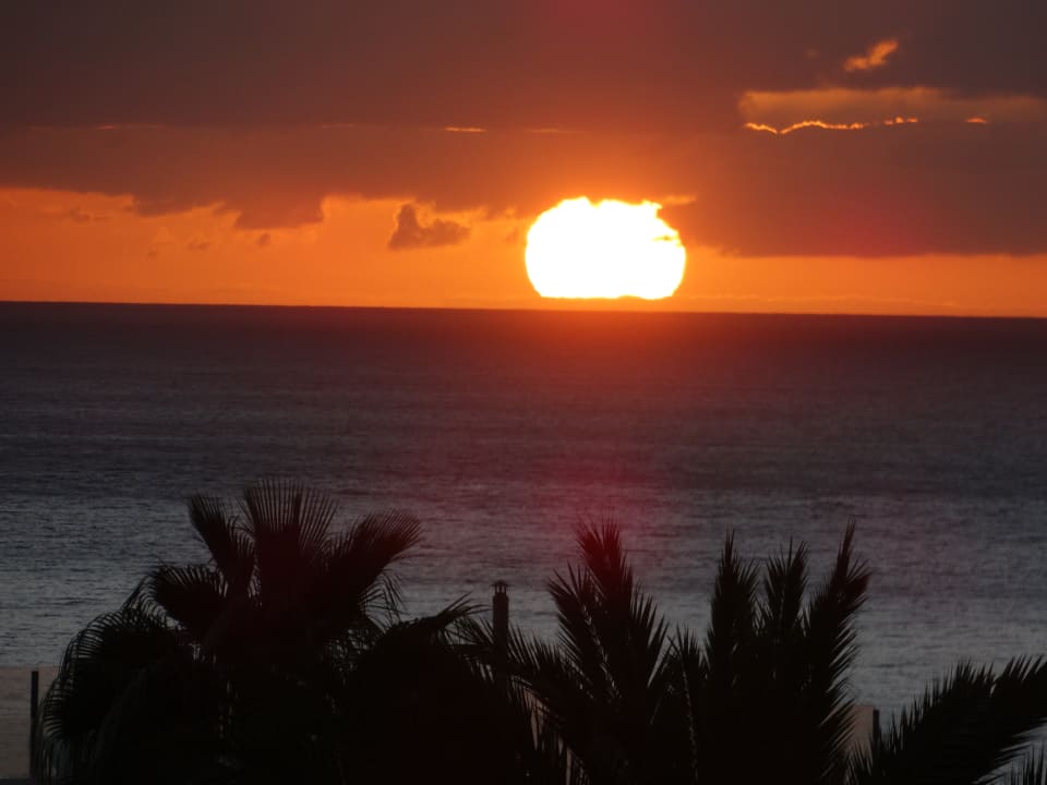 Ausblick Hotel Riu Palace Palmeras