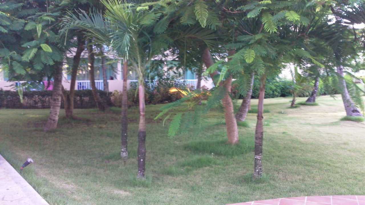 Pflanzen Grand Sirenis Punta Cana Resort & Aquagames