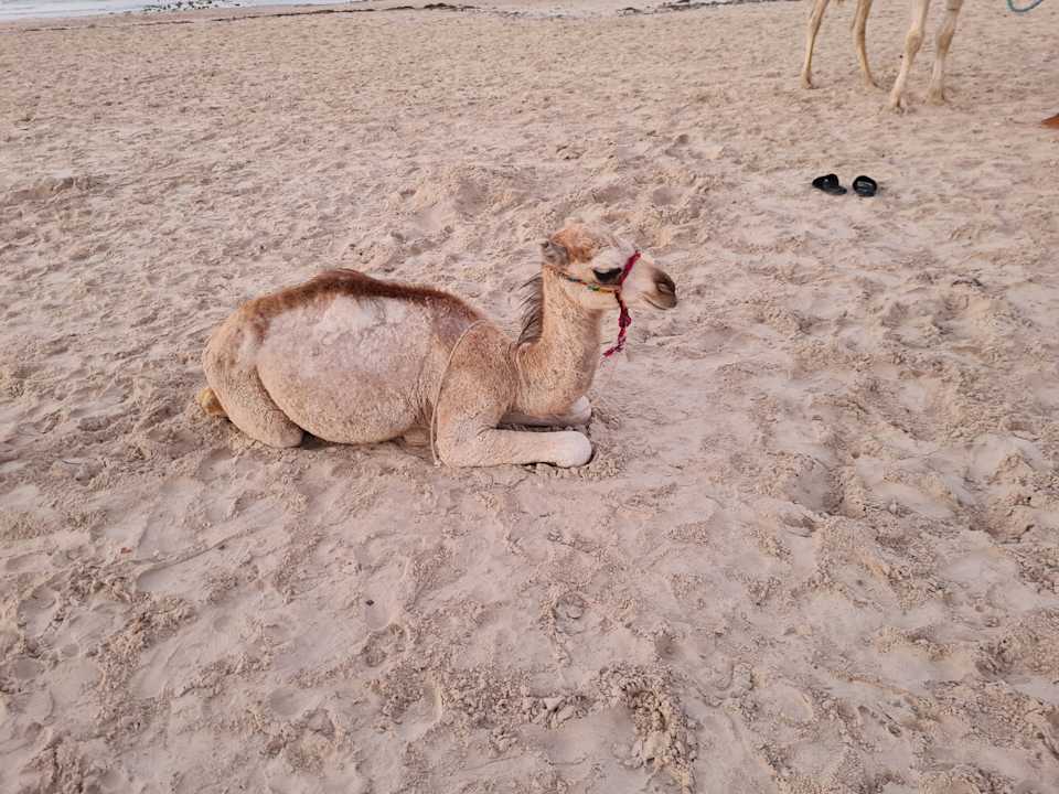Strand Calimera Yati Beach
