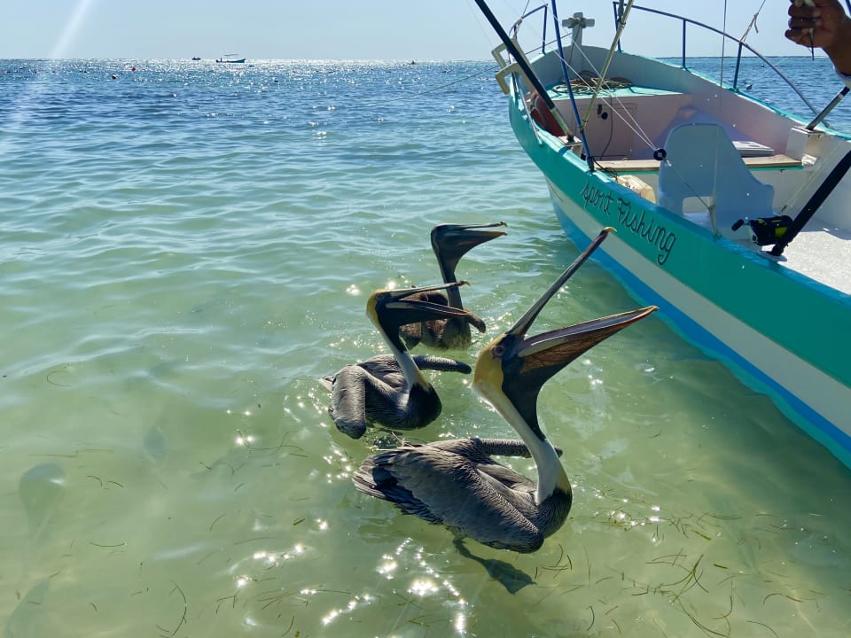 Sonstiges Akumal Bay Beach & Wellness Resort