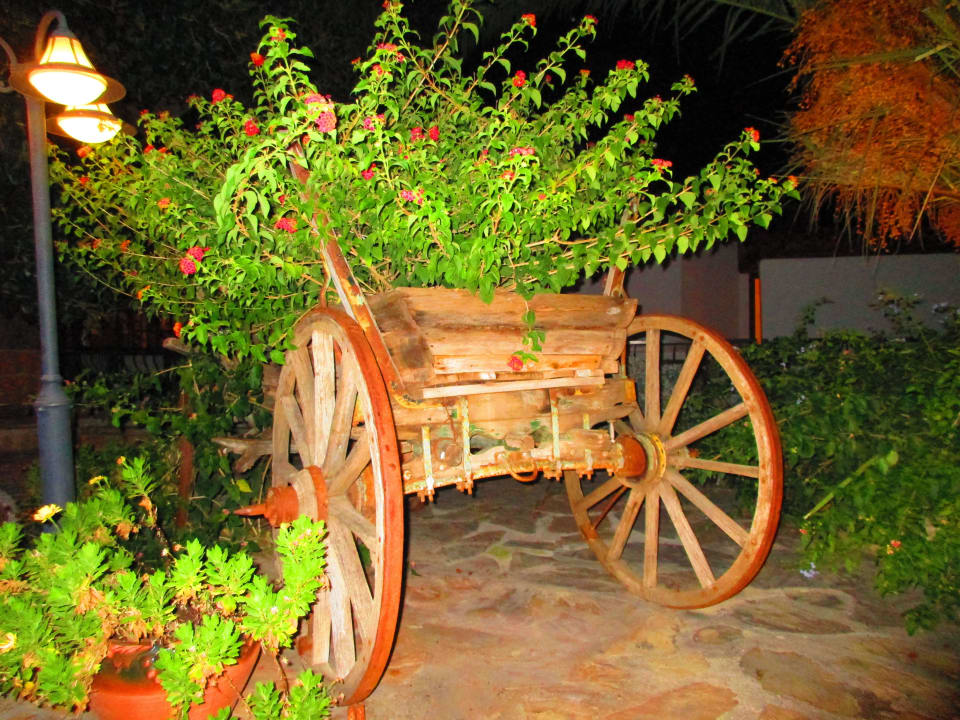 Schönes Deko Montana Pine Resort