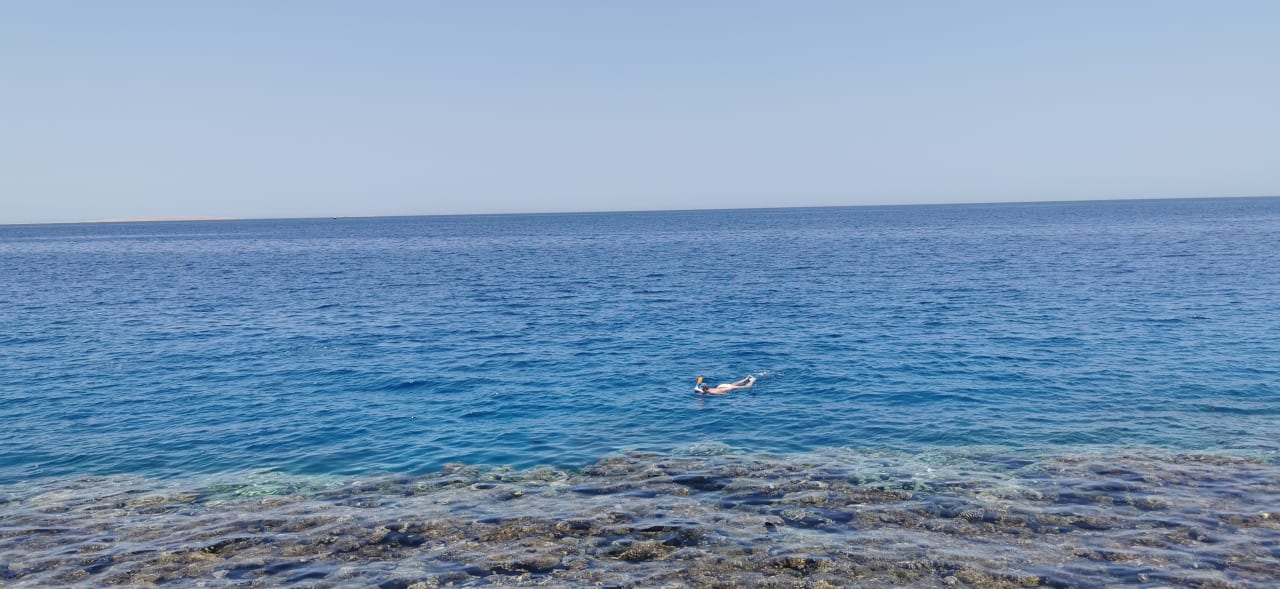 Strand Pickalbatros Citadel Resort