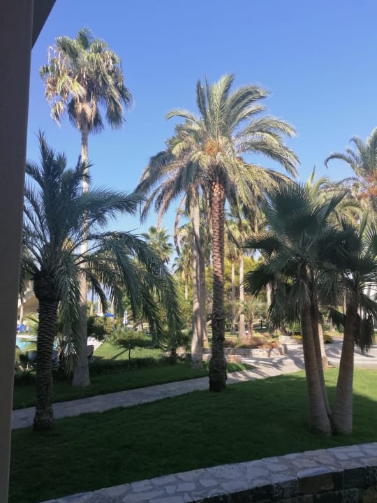 Gartenanlage Calimera Sirens Beach