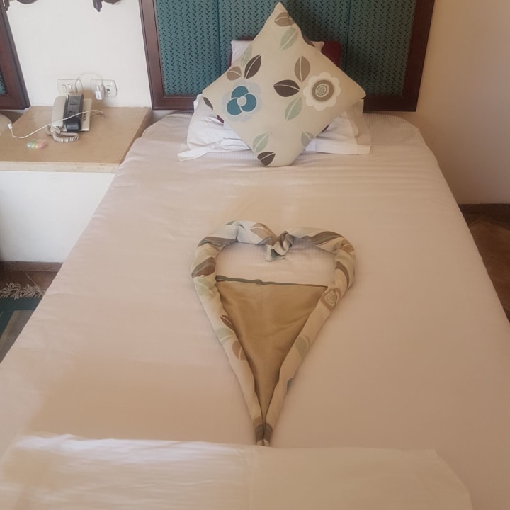 Zimmer Pickalbatros Citadel Resort