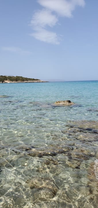 Strand Cactus Beach