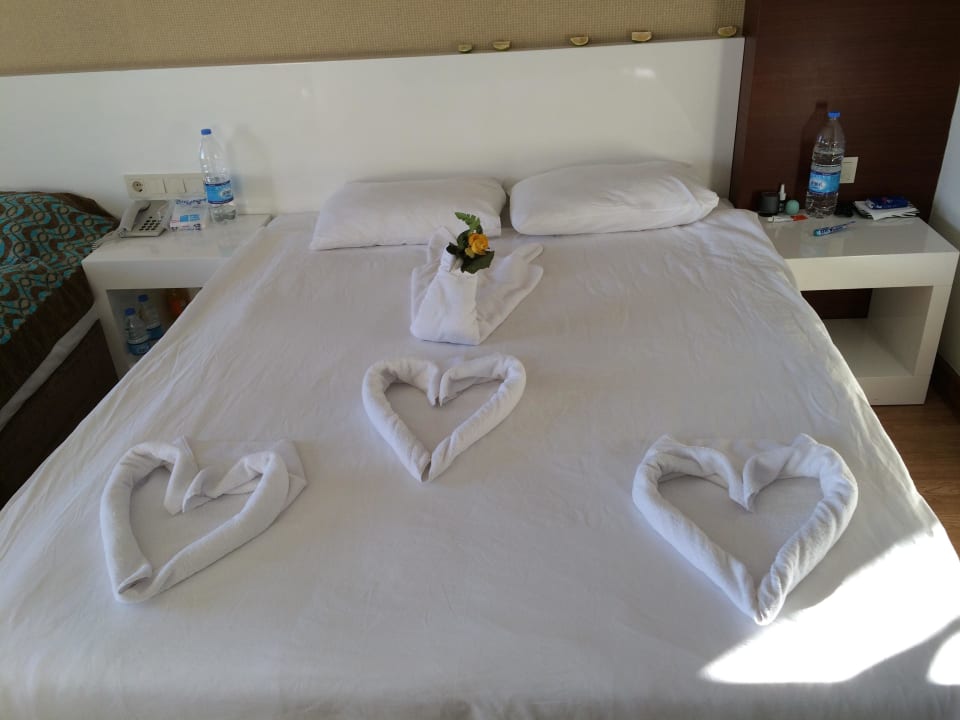 Und wieder anders Seaden Sea World Resort & Spa