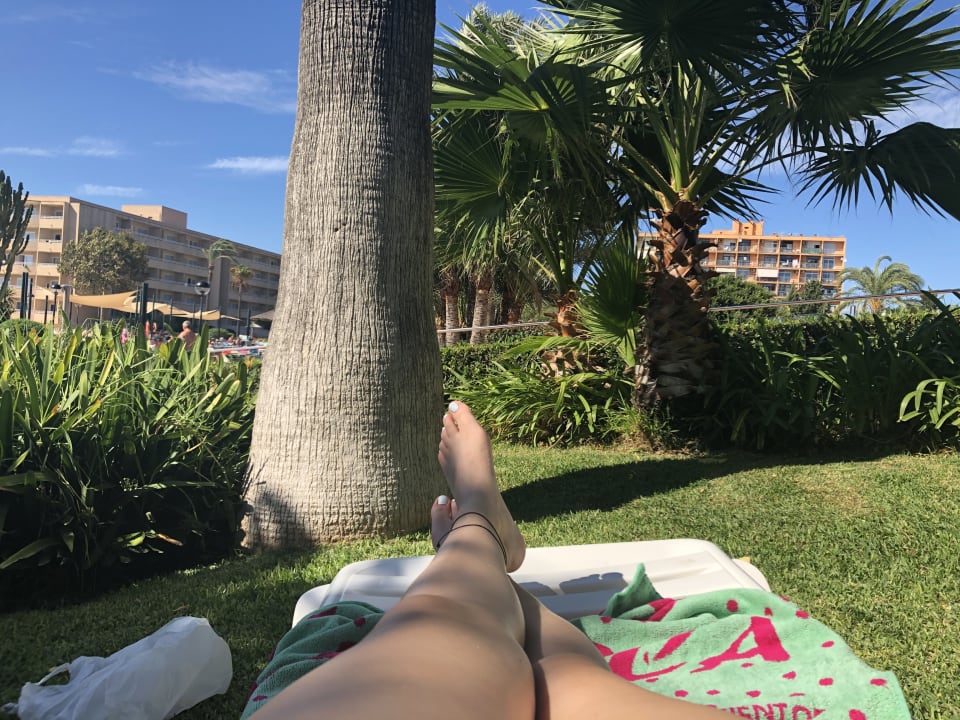 Gartenanlage Hotel Club Cala Romani