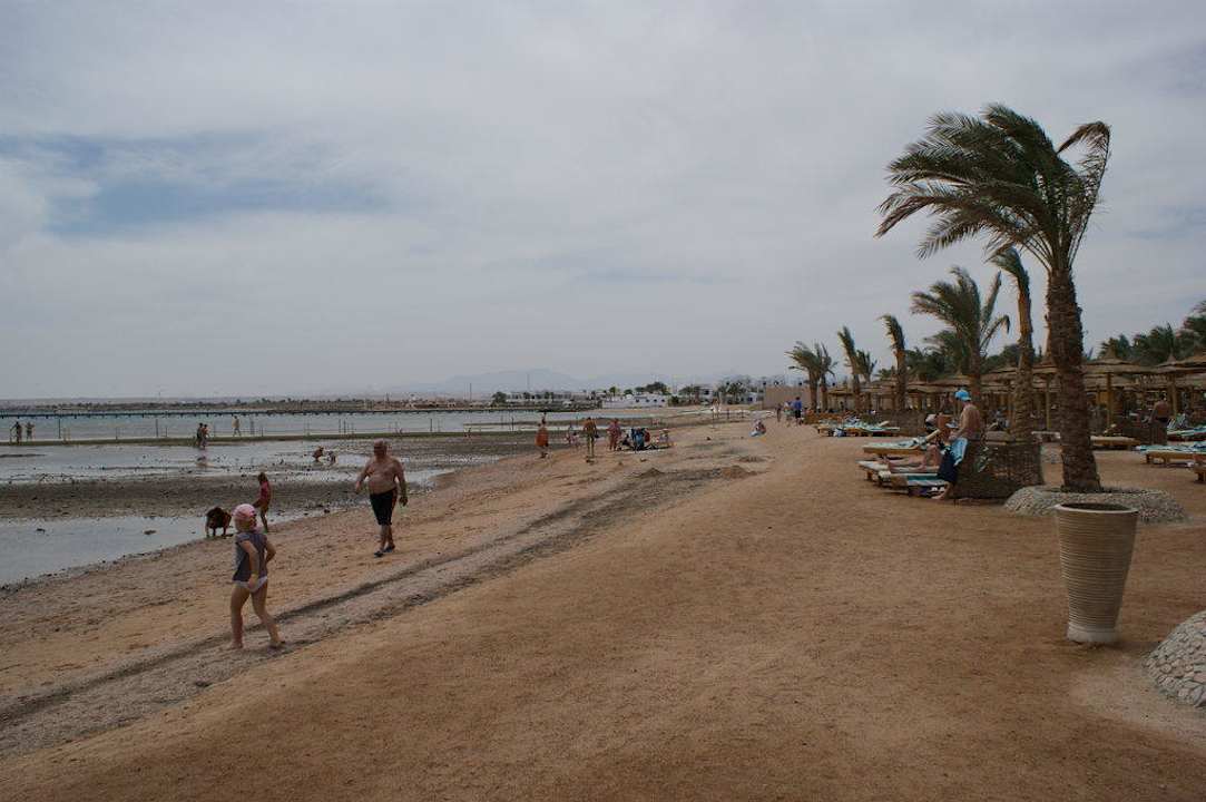 Naja Pickalbatros Palace Resort