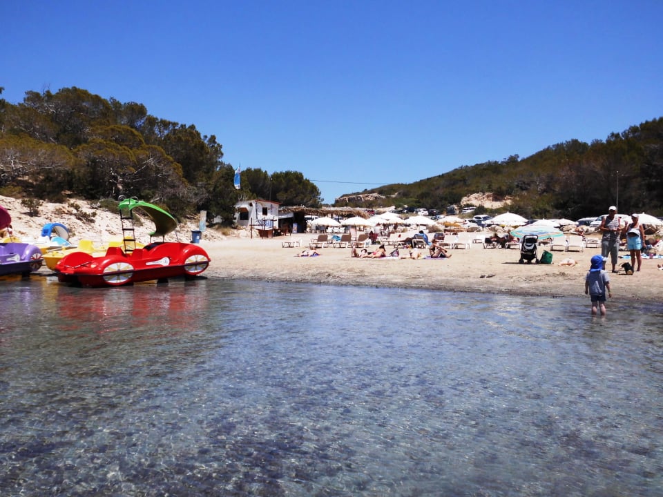 Klares Wasser, aber Algenteppich  Barceló Portinatx - Adults only