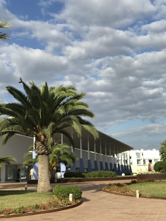 Sauber und gepflegt Grand Palladium Select Palace Ibiza