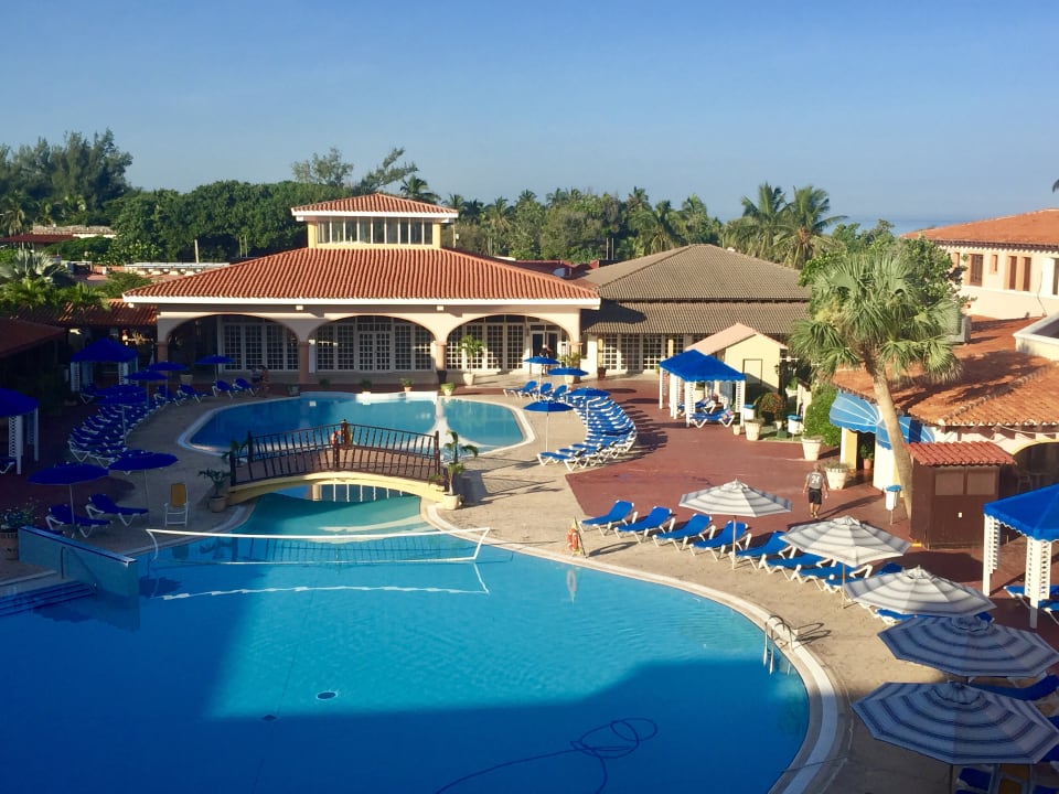 Pool Starfish Cuatro Palmas