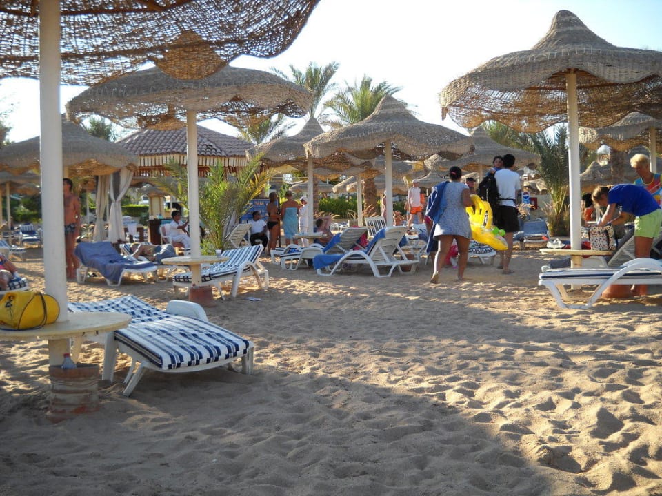 Ombrelloni spiaggia Cataract Layalina Hotel Naama Bay