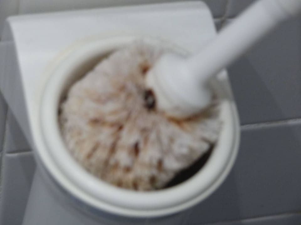 Total verdreckte Toilettenbürste Hotel San Remo