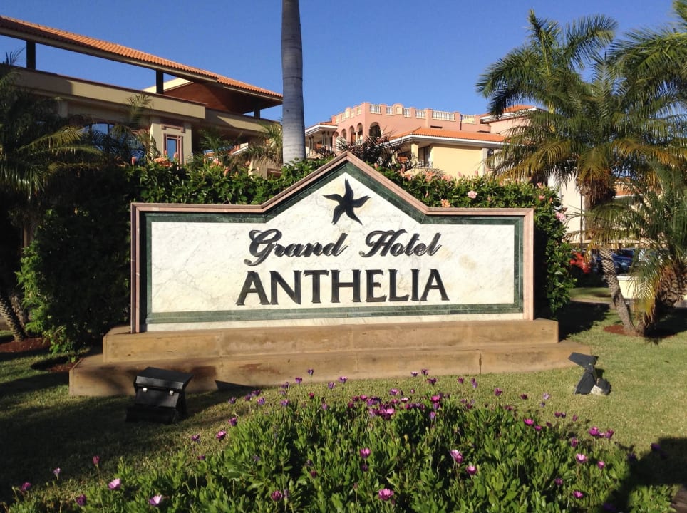 C'est ici Iberostar Selection Anthelia