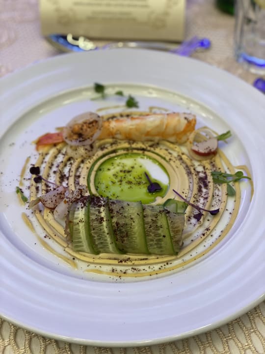 Gastro Acanthus Cennet Barut Collection