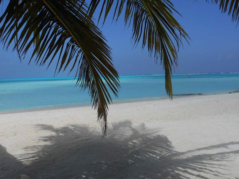 Himmel auf Erden Meeru Maldives Resort Island