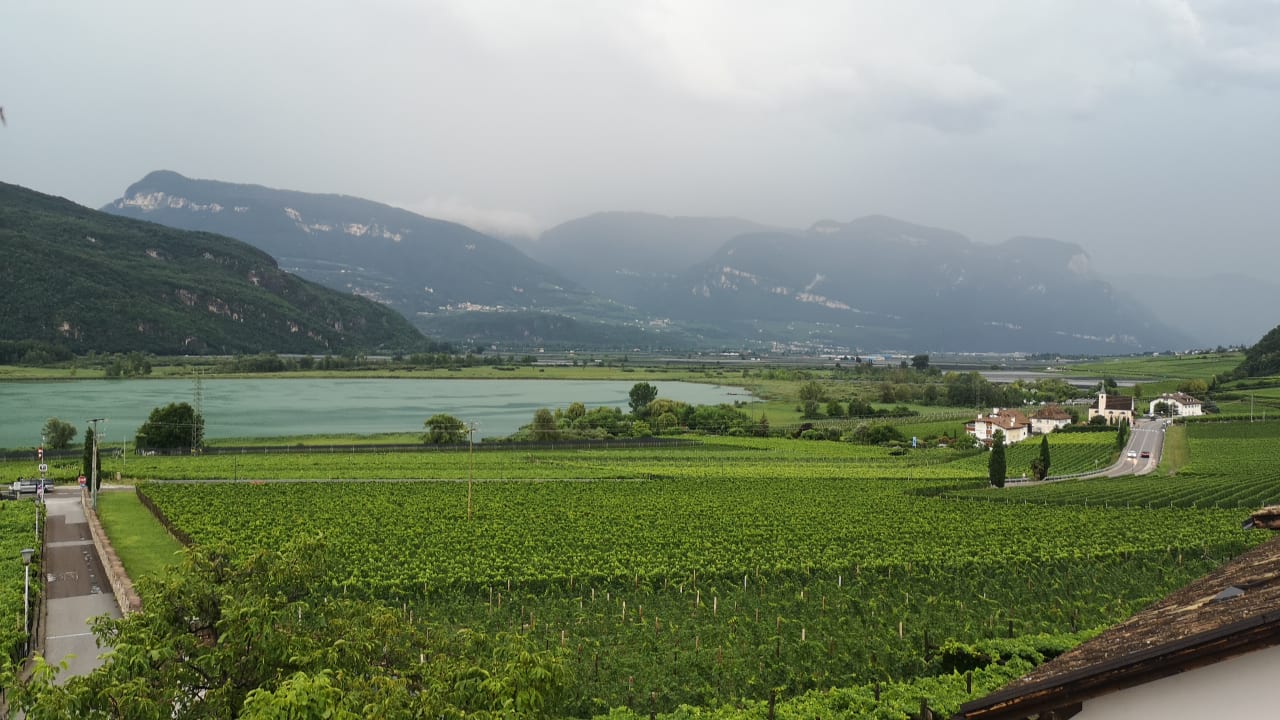 Ausblick Pension Hasslhof