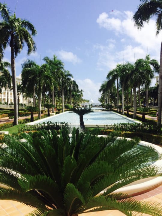 Gartenanlage Hotel Riu Palace Punta Cana
