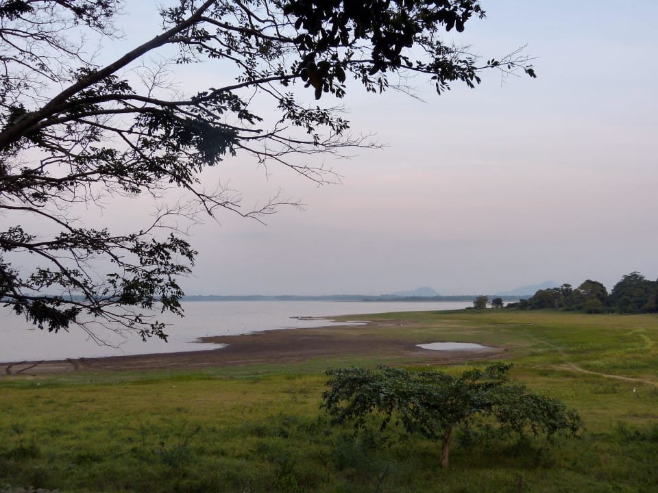 Nur wenige Meter außerhalb des Hotelgartens kann m Nuwarawewa Rest House