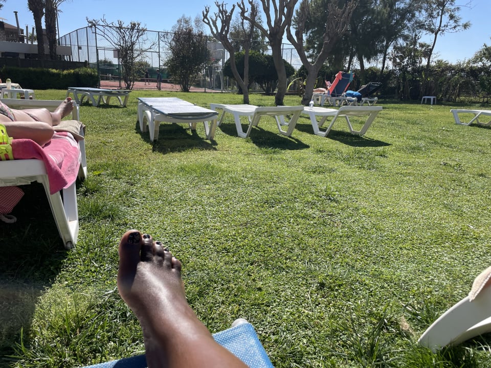 Gartenanlage Hotel Terrace Beach Resort