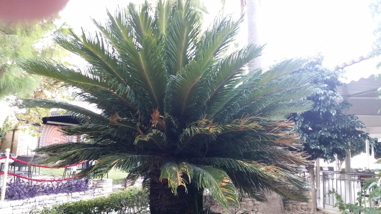 Garten Trendy Side Beach Hotel - Adults only