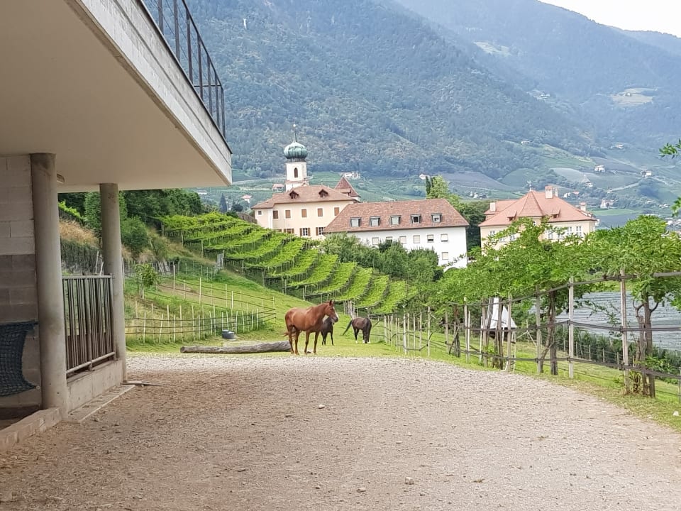 Gartenanlage Garni Hotel Katzenthalerhof