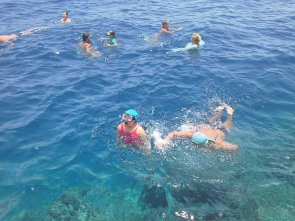 Пловцы мои Serenity Alpha Beach