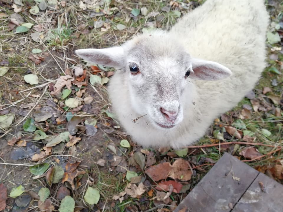 Sport & Freizeit Landschloss Ernestgrün
