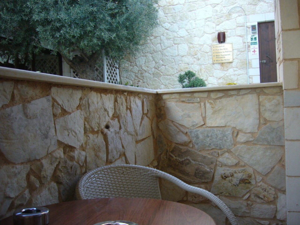 5 Sterne Balkon Cactus Royal