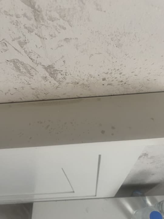 Zimmer Green Paradise Beach Hotel