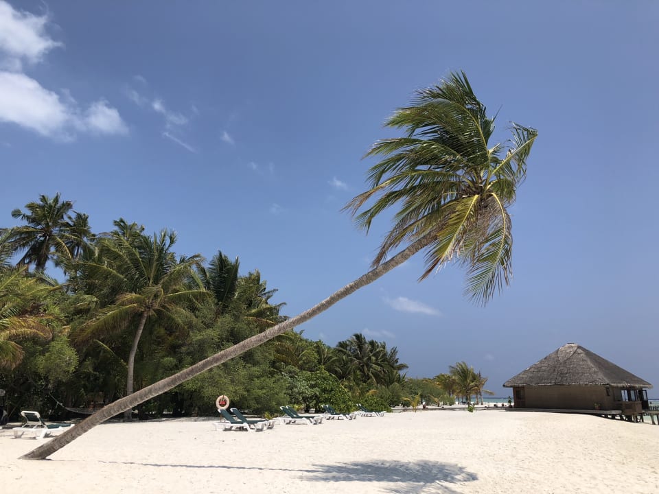 Strand Meeru Maldives Resort Island