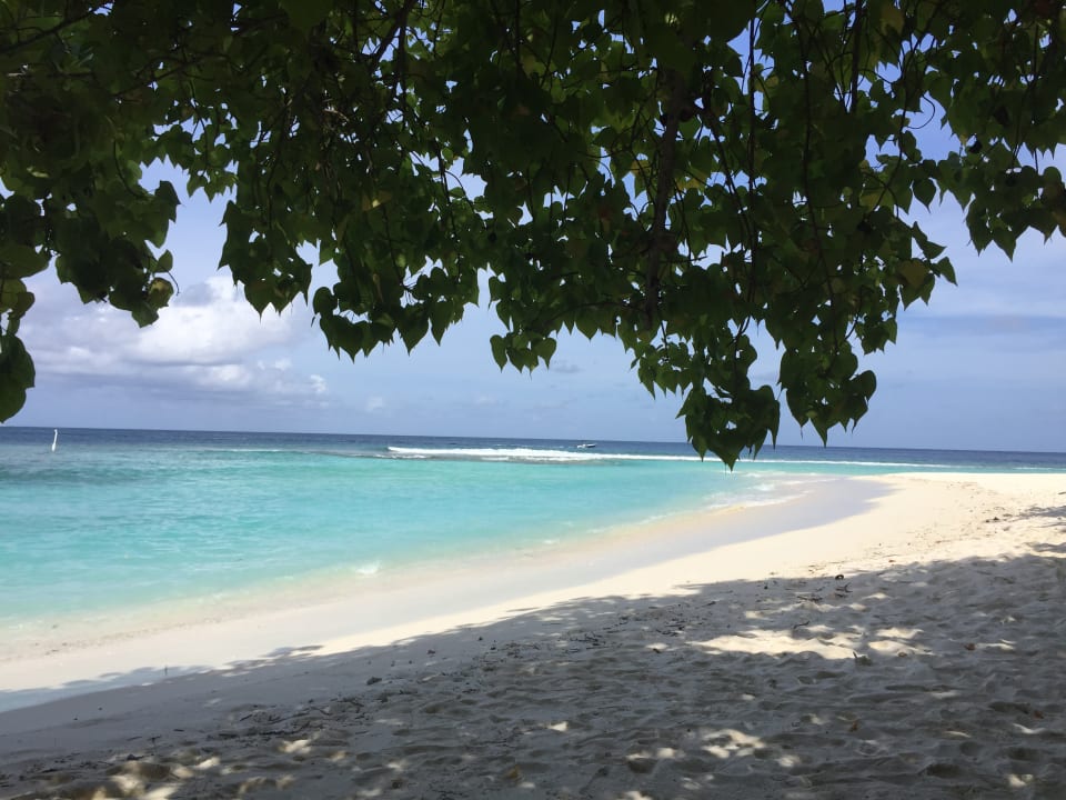 Ausblick Kuramathi Maldives