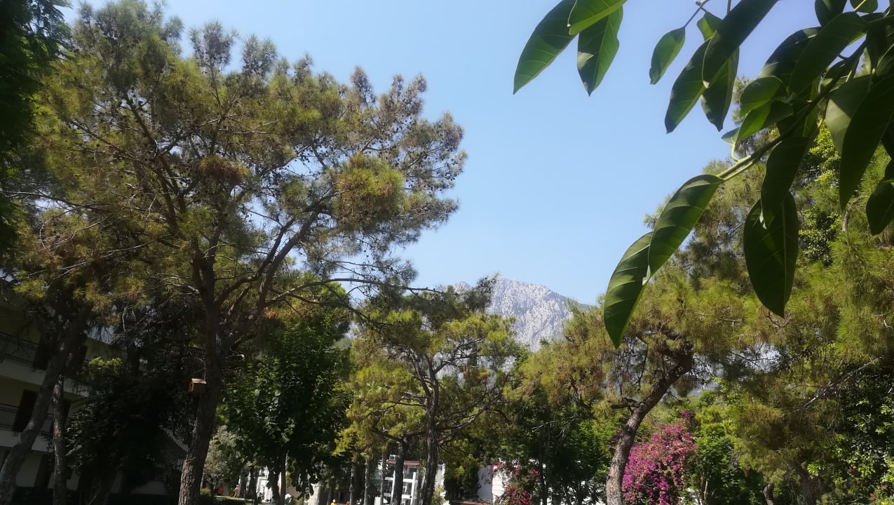 Ausblick Sherwood Exclusive Kemer