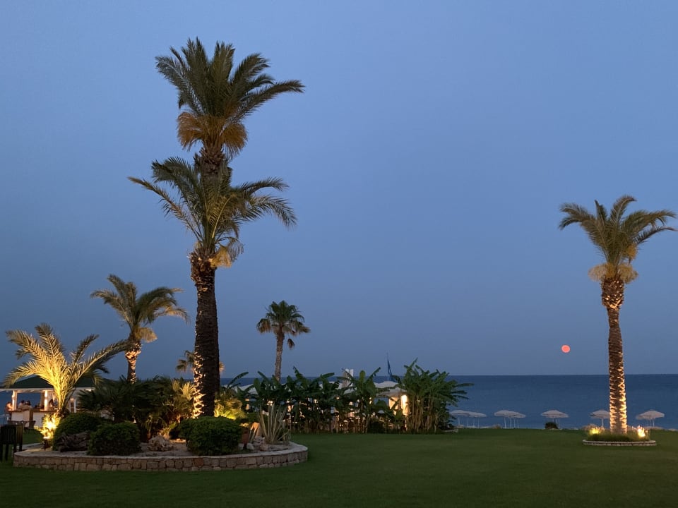 Strand Rodos Palladium Leisure & Wellness