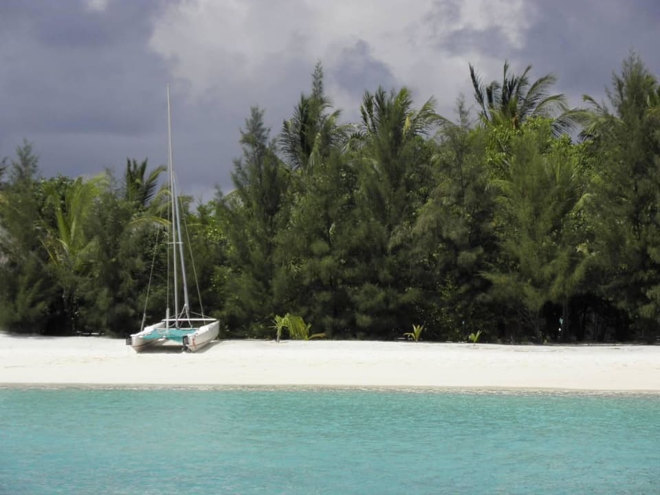 Ostseite Summer Island Maldives