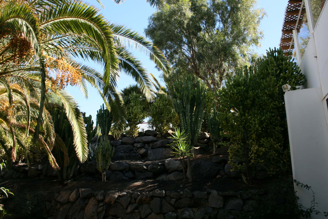 Gang durch den Park allsun App.-Hotel Esquinzo Beach